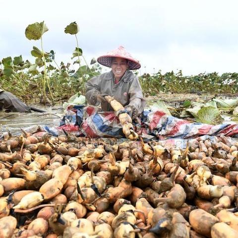 (2020销售面积)全国近20年销售面积的发展趋势及影响因素分析